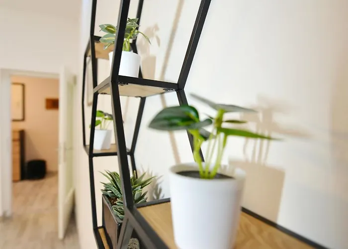 Apartment Didova Kuca Zadar